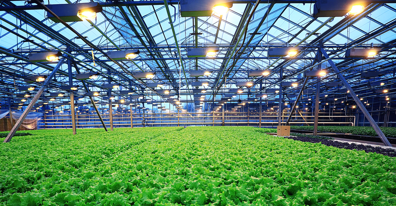 Air source heat pump creates an intelligent greenhouse temperature control system to improve crop quality!